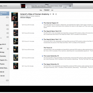 Screen Shot 2012-12-01 at 1.06.20 AM.png
