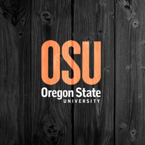 OS 01.jpg