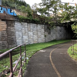 IMG_5353.jpg