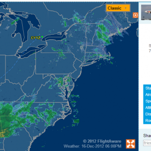 flight.PNG