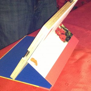 image.jpg