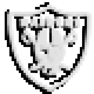 Raiders logo.png
