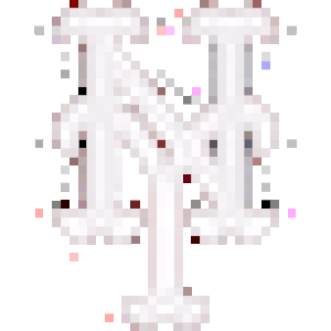 nyWHITE.png