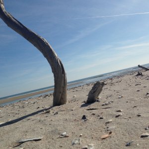 photo (1).JPG
