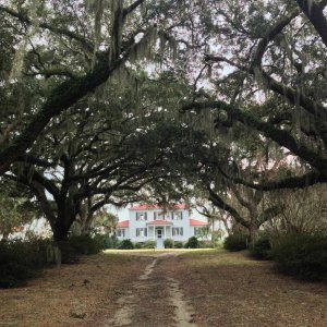 photo (2).JPG