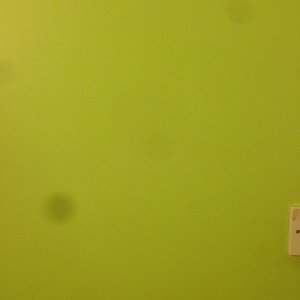 IMG_1387.jpg