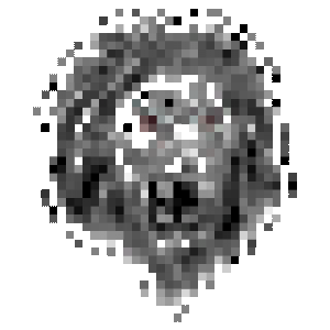 lion.png