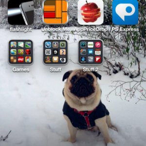 ImageUploadedByTapatalk 21358686313.244418.jpg