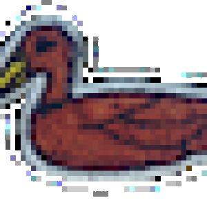 duck.png