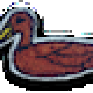 duckETCHED.png