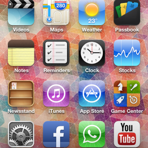 IMG_1465.PNG