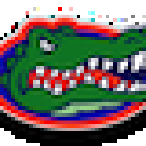 gatorsETCHED.png