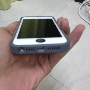photo.jpg
