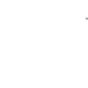 adidas.png