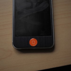 IMG_0775.jpeg
