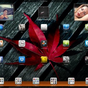 ImageUploadedByTapatalk HD1361083276.854572.jpg