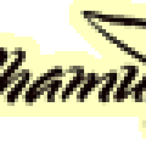 shamu.png