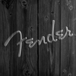 Fender 02.jpg