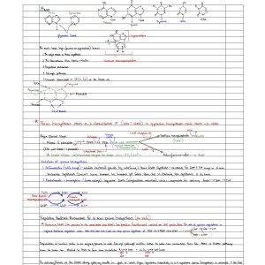 BiochemFinalReview_BMB4210.jpg