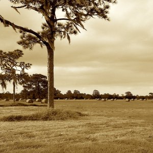 IMG_0895 copy.jpg