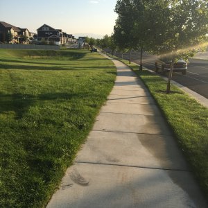5AC2A9F2-B235-4CCA-8865-E625956B4D08.jpeg