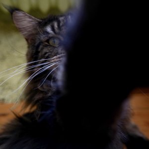 60E1A031-15F6-45AC-988B-6D163423EE68.jpeg
