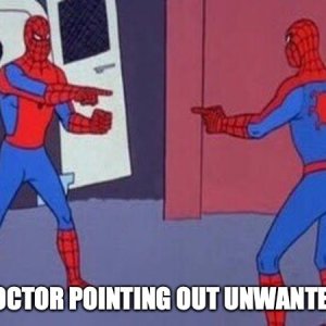 spider.jpg