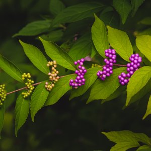 FB_September_07_2018_001.jpg