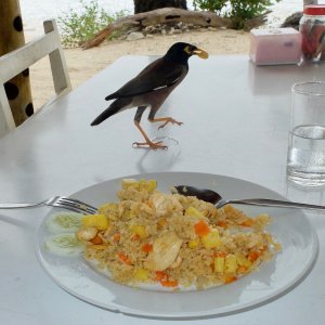 The Boatyard Restaurant near Pakarang Cape.jpg