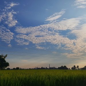 20180910_173413-01.jpeg