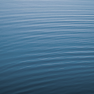 IMG_0743.PNG