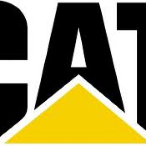 cat.jpg
