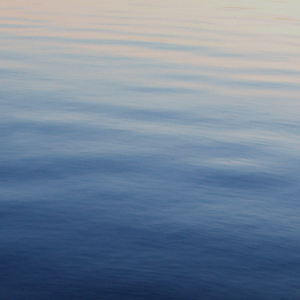 IMG_8110.png