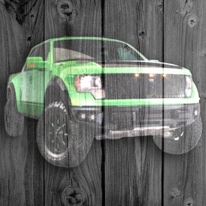 Wood Raptor 03.jpg