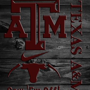 TAMU 03.jpg