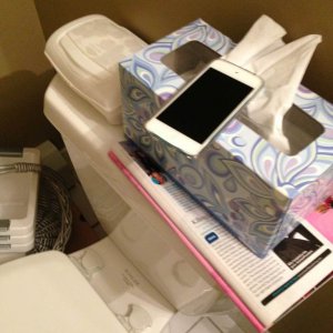 ImageUploadedByTapatalk 21368927112.507495.jpg