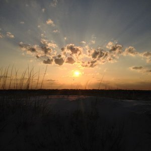 ImageUploadedByTapatalk 21369548667.089555.jpg