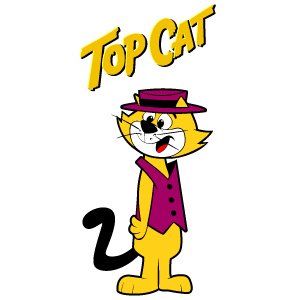 designCanvasTopCat.jpg