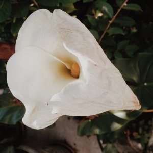 photo 3.JPG