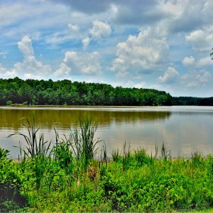 Lake Pine 6-9-2013b.JPG