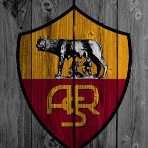 Wood Roma 01.jpg