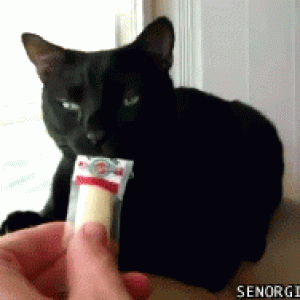 h3EFA2DD9.gif
