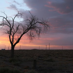 IMG_0392.jpg