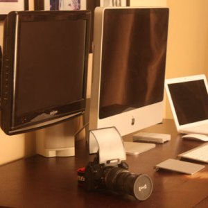 2012_a.jpg