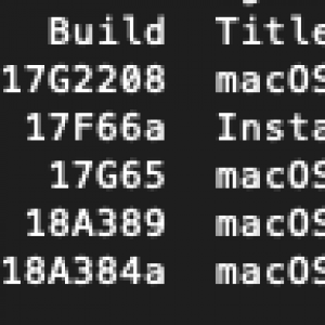 installinstallmacospy.png