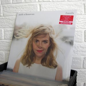 002_AOIFE_ODONOVAN_fossils_NEW_VINYL_at_wild_honey_records.jpg