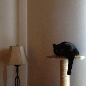 2013-07-11 18.29.38.jpg