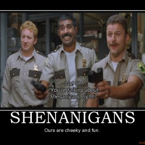 shenanigans-super-troopers-shenanigans-cheeky-fun-demotivational-poster-1258849767.jpg