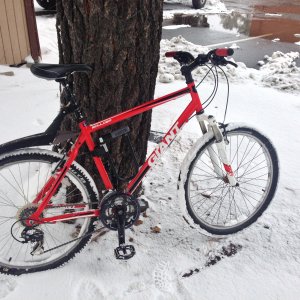2013-02-11 15.43.26 HDR.jpg
