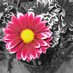 IMG_0179.png